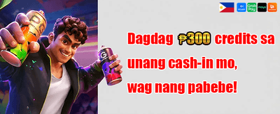 VIP Rebate Program promotion